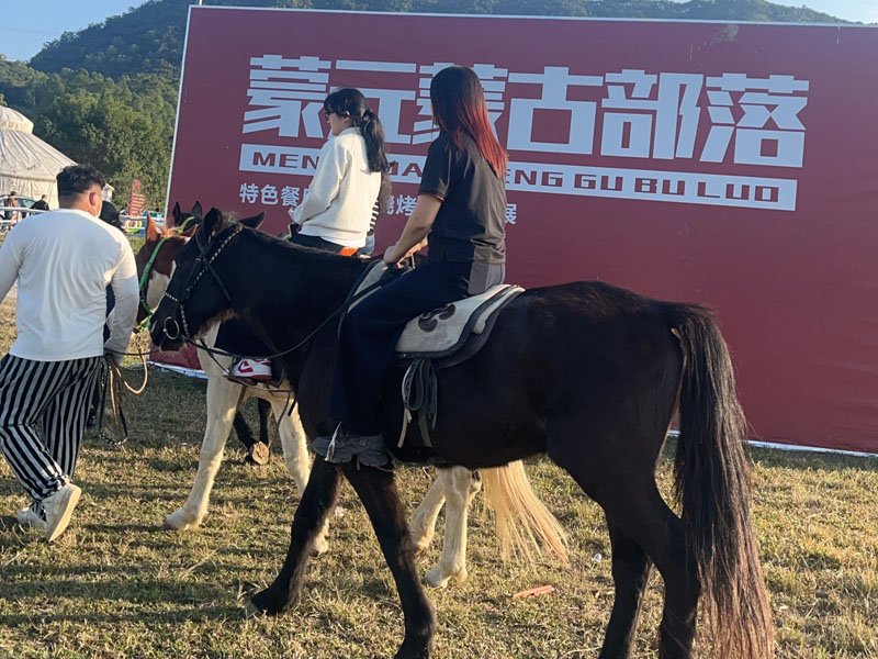 豪欧密封2025 蒙元蒙古部落团建:一场融心聚智的草原风情盛宴 豪欧密封2025 蒙元蒙古部落团建:一场融心聚智的草原风情盛宴